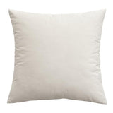 MIULEE Velvet Pillow Cover Soft Luxury Decorative Throw Pillow Cover Eruo Sham Single Rectangle Cushion Case for Couch Sofa Bedroom Car Decor,24x24 Inch Cream White MIULEE