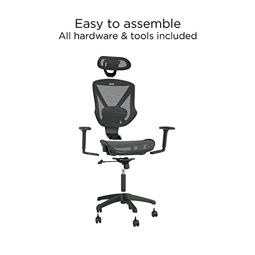 STAPLES Dexley Ergonomic Mesh Office Chair - Adjustable Height, Swivel Tilt, Lumbar Support, Black STAPLES