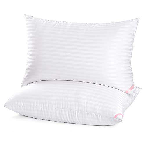 EIUE Hotel Collection Bed Pillows for Sleeping 2 Pack Queen Size，Pillows for Side and Back Sleepers,Super Soft Down Alternative Microfiber Filled Pillows,20 x 30 Inches EIUE