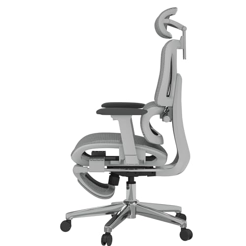 FLEXISPOT ErgoX Premium Ergonomic Office Chair with Footrest- Adjustable 3D Armrests, Dynamic Lumbar Support, Recline & Tilt Function, Mesh Seat, for Home & Office Use,Light Grey FLEXISPOT