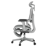 FLEXISPOT ErgoX Premium Ergonomic Office Chair with Footrest- Adjustable 3D Armrests, Dynamic Lumbar Support, Recline & Tilt Function, Mesh Seat, for Home & Office Use,Light Grey FLEXISPOT