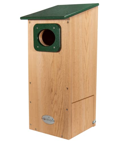 JCs Wildlife Cedar Wood Duck Nesting Box with Poly Lumber Roof - Mount in or at The Water's Edge to Attract Wood Ducks Nearby - Equipped with Clean Out Door and Drainage Holes (Green) JCs Wildlife