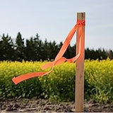 Greenes Fence 3 Ft. Wooden Garden and Sign Post Stakes (100-Pack) Greenes Fence