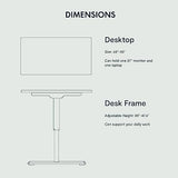 FLEXISPOT Height Adjustable Desk 48 x 30 inch Electric Standing Desk Whole-Piece Desk Board Stand Up Desk for Home Office (Gray Frame + 48" Natural Top) FLEXISPOT