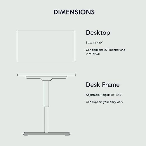 FLEXISPOT Height Adjustable Desk 48 x 30 inch Electric Standing Desk Whole-Piece Desk Board Stand Up Desk for Home Office (Gray Frame + 48" Natural Top) - WoodArtSupply