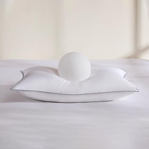 Swandream Goose Feather and Down Bed Pillow Standard Size Single Pack, Luxury 3-Chamber Pillows with Soft & Down-Proof Cover, Fluffy Plush Hotel Pillow for Side, Back & Stomach Sleepers Swandream