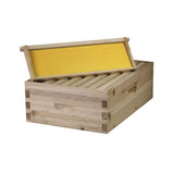 Bee Hive Complete with Frames & Wax Coated Foundations (NU8-2D1M) NuBee Hive