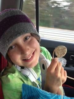 Traditional Craft Kits - Beginner Basket Kit - Set of Four: Coil, Plaited, Twined, Wicker Traditional Craft Kits