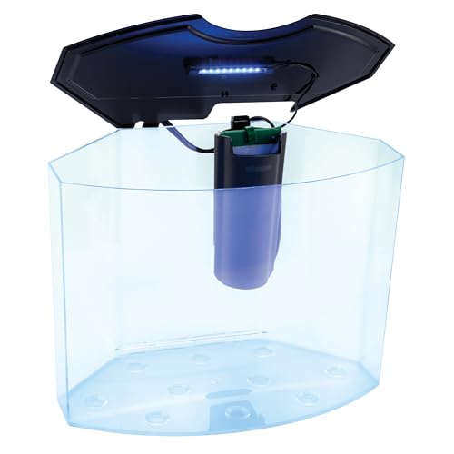 GloFish Crescent Aquarium Kit 5 Gallons, Includes Hidden Blue LED Light And Internal Filter GloFish