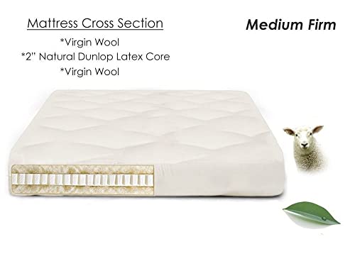 The Futon Shop Organic Wool Shiki Futon Mattress Twin with Latex - Japanese Style Shikibuton Mattress for Floor - Medium Firm, Cotton Cover The Futon Shop