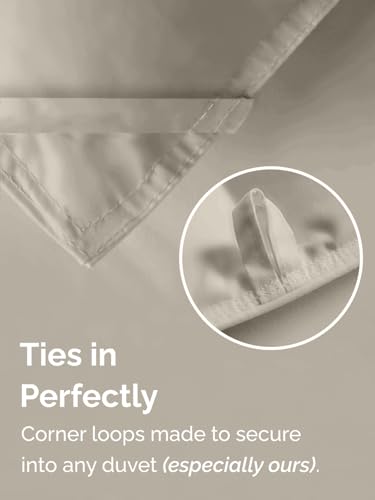 Twin Size, Brown/Beige Alternative Down Comforter - Warm, Lightweight & Breathable Hotel Quality Bedding for Men, Women, Kids & Teens - All Season Oversized Cooling Microfiber Duvet Insert Comforter CGK Unlimited