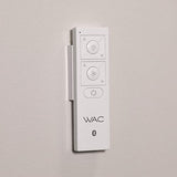 WAC Smart Fans Swirl Indoor and Outdoor 3-Blade Smart Home Ceiling Fan 54in Matte Black with 3000K LED Light Kit and Remote Control works with Alexa and iOS or Android App WAC Lighting
