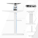 Fromann Dual Motor Standing Desk Frame 3 Stage Legs Electric Heavy Duty Sit Stand up Height Adjustable Desk Base for Home and Office Fromann