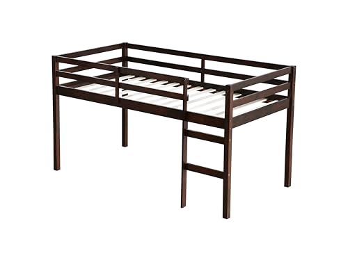 Mirightone Low Loft Bed Twin Size, Wood Junior Loft Bed Frame with Ladder for Kids Girls Boys Teens, Solid Rubberwood, Espresso Mirightone