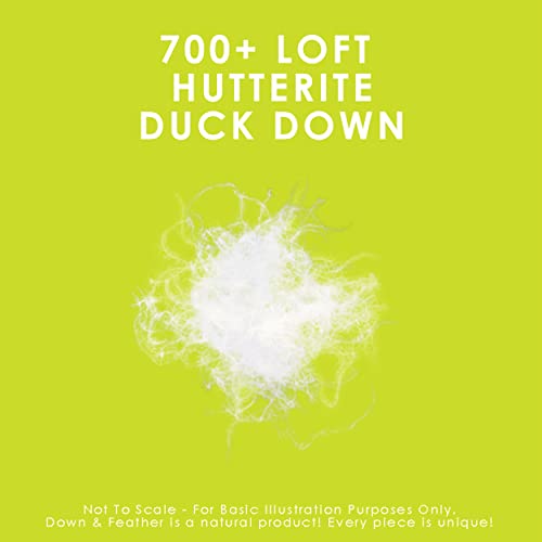 Canadian Down & Feather Co. - Regular Weight Hutterite White Down Duvet King Size - 400 TC Shell 100% Cotton - Made in Canada Canadian Down & Feather Company