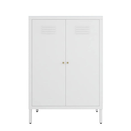LINGZOE 2 Door Metal Locker Storage Cabinet with 2 Adjustable Shelves,Steel Locker Cupboard for Bedroom, Bedside, Office Room LINGZOE