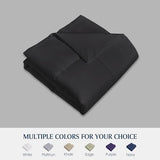 Blue Ridge Home Fashions Comforter Breathable Microfiber Duvet Insert, Summer Cooling Winter Warm Reversible Down Alternative Quilt Comforter for All Season, Twin, Black Blue Ridge Home Fashions