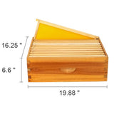 Honey Lake 10 Frame Medium Super Bee Hive Box, Langstroth Beehive Super Honey Bee Box Dipped in 100% Beeswax Include Beehive Frames and Waxed Foundations for Beginners Beekeepers (Unassembled) Honey Lake