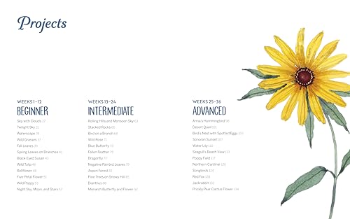 Wild Watercolor: Weekly Lessons and Techniques for Stunning Creations WoodArtSupply