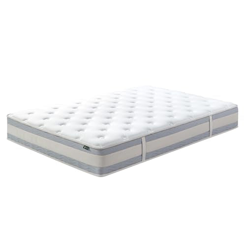 ZINUS 10 Inch Comfort Support Hybrid Mattress [New Version], Queen, Fiberglass Free, Medium Plush, Motion Isolation, Certified Safe Foams & Fabric, Mattress in A Box Zinus