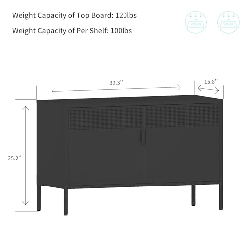Chshin Metal Storage Cabinet with Doors,Black Accent Cabinet,Metal Locker Storage Cabinets,2 Door TV Media Stand with Removable Shelves for,Home,Office,Entryway,Living Room Chshin