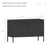 Chshin Metal Storage Cabinet with Doors,Black Accent Cabinet,Metal Locker Storage Cabinets,2 Door TV Media Stand with Removable Shelves for,Home,Office,Entryway,Living Room Chshin