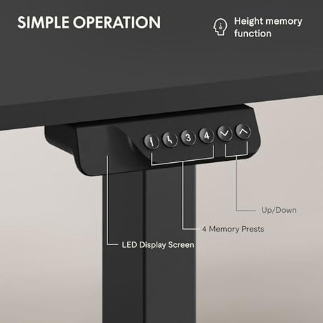 FLEXISPOT 79"x32" Large Dual Motor Electric Standing Desk, Black - 198 LBS Heavy-Duty Capacity, Ideal for Home Office, Creative Studio, or Multi-Monitor Setup FLEXISPOT