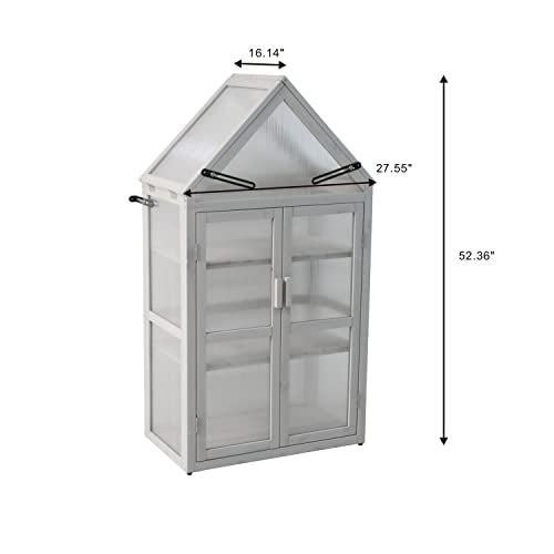 Mini Greenhouse Kit Outdoor, Upgrade Small Green House with Adjustable Shelving, Wood Cold Frame, Plant Stand Cabinet for Indoors Garden Patio