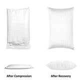 EIUE Hotel Collection Bed Pillows for Sleeping 2 Pack Queen Size，Pillows for Side and Back Sleepers,Super Soft Down Alternative Microfiber Filled Pillows,20 x 30 Inches EIUE