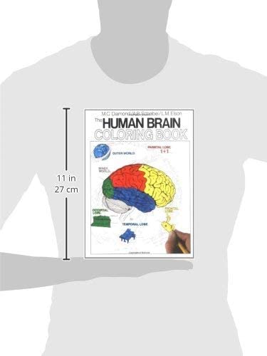 The Human Brain Coloring Book: A Coloring Book (Coloring Concepts) Collins Reference