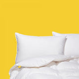 Canadian Down & Feather Co. - All Season Weight White Feather & Down Duvet King Size - 240 TC Shell 100% Cotton - Oeko TEX Certified Canadian Down & Feather Company