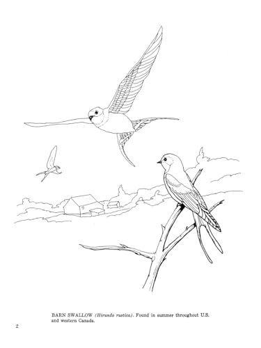 Fifty Favorite Birds Coloring Book (Dover Animal Coloring Books) Dover Publications