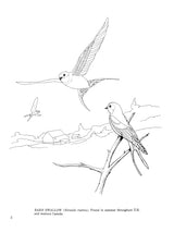 Fifty Favorite Birds Coloring Book (Dover Animal Coloring Books) Dover Publications