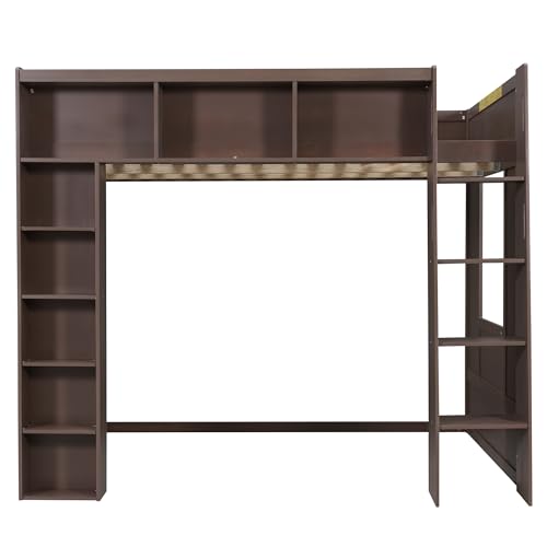Merax Queen Size Loft Bed with Storage - Wooden High Sleeper Bed with 3 Cabinets & 5 Shelves, Heavy Duty Study Desk Space, Space Saving Bed for Kids Teens, Small Bedroom, Dorm Room, Brown Merax