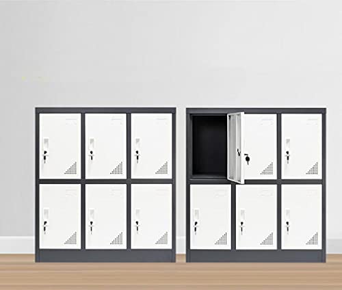 MAYROY Metal Locker Office Storage Locker Home Steel Locker School Storage Organizer, Storage Cabinet for Kids Students Employee (Gray, W6D) MAYROY