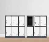 MAYROY Metal Locker Office Storage Locker Home Steel Locker School Storage Organizer, Storage Cabinet for Kids Students Employee (Gray, W6D) MAYROY