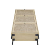 Modern Rattan 3 Door Shoe Rack Cabinet for Entryway