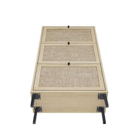 Modern Rattan 3 Door Shoe Rack Cabinet for Entryway HouseOfZazla