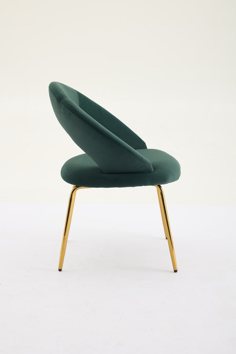 Velvet Fabric Dining Chair with Curved Backrest and Golden Metal Legs HouseOfZazla
