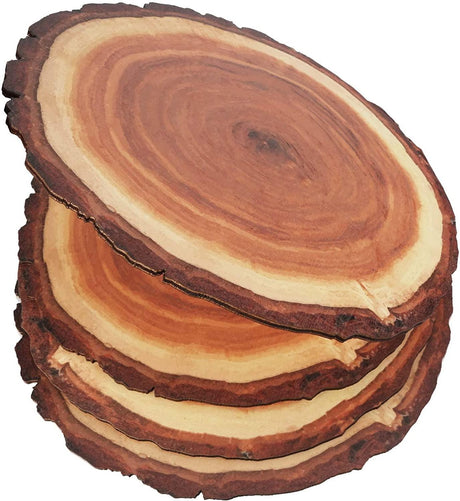 4 Pack 12 Inch X 5MM Artificial Thin UV Printed round Plywood, Imitative Rustic Wood Slices Place Mats WoodArtSupply
