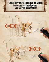 4 Pack Dinosaur Toys for Kids, STEM Kit, Boys Toys Age 8-10 Years Old, Assembly 3D Wooden Puzzle, DIY Educational Science Building WoodArtSupply