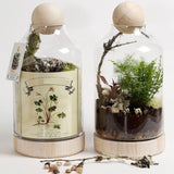 4 Pieces 3 Inch Wooden round Ball, Unfinished Natural DIY Decorative Crafting Hardwood Balls WoodArtSupply