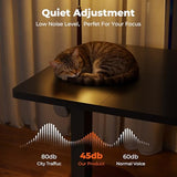 FitStand Adjustable Standing Desk, Large 79x31 Inches Standing Desk with Cable Management, Home Office Computer Desk with Memory Preset & Charging USB Port & Sedentary Reminder FitStand
