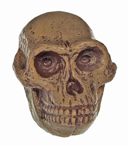 KLUTZ Make Your Own Bath Bombs Activity Kit Scholastic