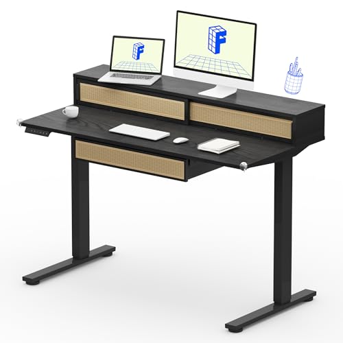 FLEXISPOT Q4 One-Piece Standing Desk with Rattan Drawers, 48 x 24 Inch Adjustable Height, Electric Stand Up Table with Monitor Shelf, Home Office Ergonomic Computer Desk with Memory Presets, Black FLEXISPOT