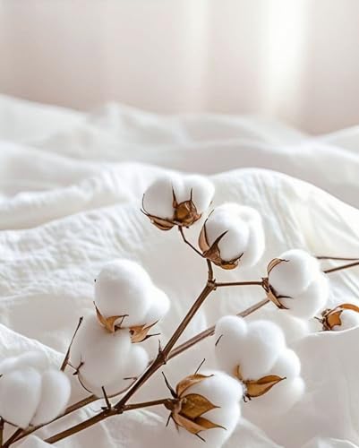 Twin Size Flat Sheet Only, Soft 300 Thread Count 100% Cotton Flat Sheets, Cool & Breathable Bed Sheets, Top Sheet, Flat Sheet Only, Single Flat Sheets Only (Twin, White) HMACOLOR BEDDING