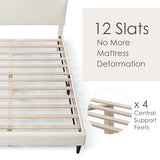 Vivienne Contemporary Boucle Fabric Queen Size Platform Bed Frame with Adjustable Curved Headboard and Solid Wood Legs - White Furniture of America