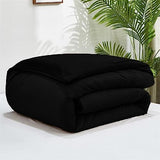 Luxlovery Black Velvet Comforter Set Cal King Men Plush Fluffy Black Bedding Set California King Minimalist Bedding Set Solid Modern Blanket Quilts Winter Warm Flannel Comforter Set Luxlovery