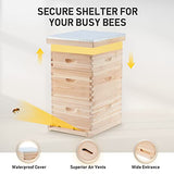 CREWORKS Bee Hive with 10 Medium &20 Deep Honeycomb Foundation Frames, Bee Box for Beekeeper Starter, Beekeeping Supplies Equipment Tool, Wood Complete Honey Bee Hives Kit, 3 Layer Bees House Box CREWORKS