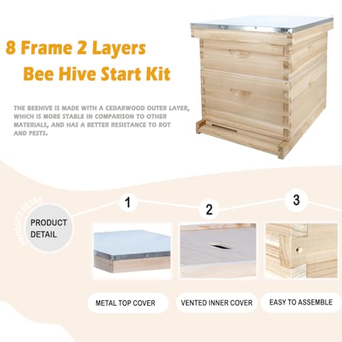 POLLIBEE Beehive 8 Frame Bee Hive Starter Kit, Bee Hives Include 1 Deep Brood Bee Box and 1 Medium Hive Box with Bee Frames and Waxed Beehive Foundation, Complete Bee Hive for Beginner POLLIBEE